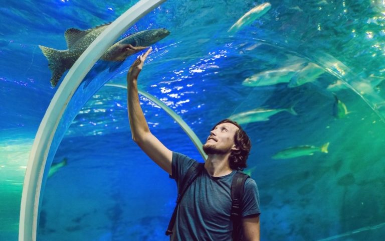 LesExpats-2024-web-Two Oceans Aquarium Cape Town-2