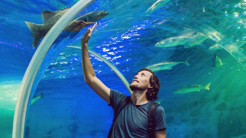 LesExpats-2024-web-Two Oceans Aquarium Cape Town-2