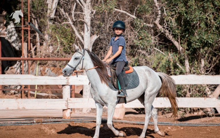 LesExpats-web-Hacienda-Gammarth (3)