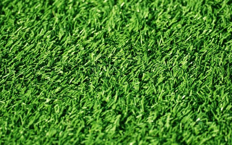 LesExpats-web-Bennout-deco (8)