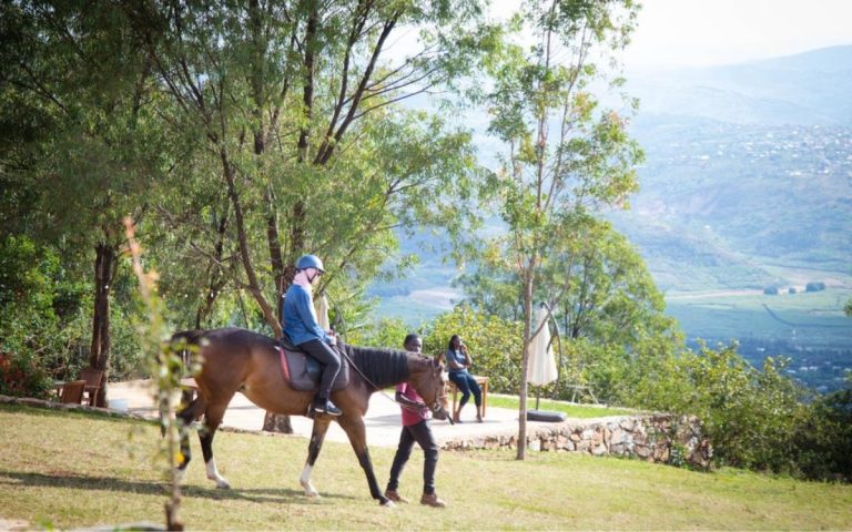 LesExpats-web-Fazenda-Sengha-(5)