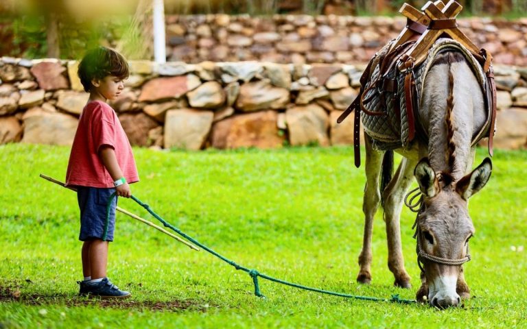 LesExpats-web-Fazenda-Sengha-(8)
