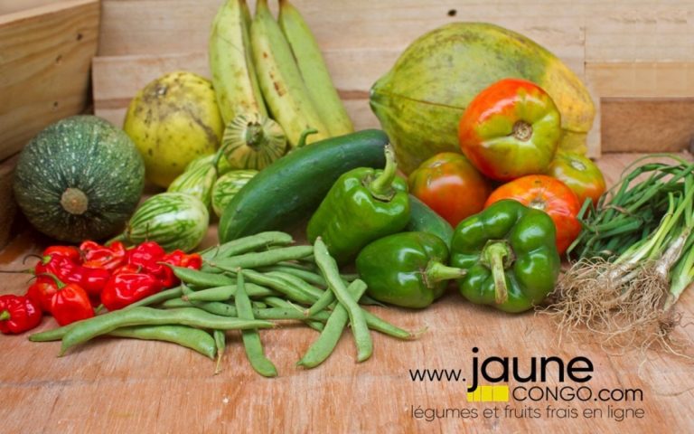 LesExpats-web-Jaune-Congo