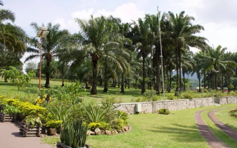 LesExpats-web-NSele (13)