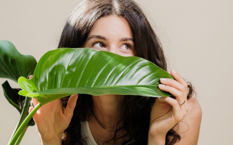 LesExpats-web-PlantUp (2)