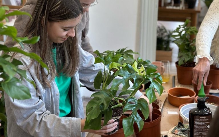 LesExpats-web-PlantUp (5)