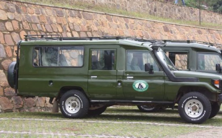 LesExpats-web-Primate-Safaris