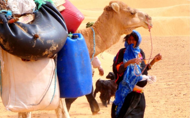 LesExpats-web-Sahha-Sahara (3)