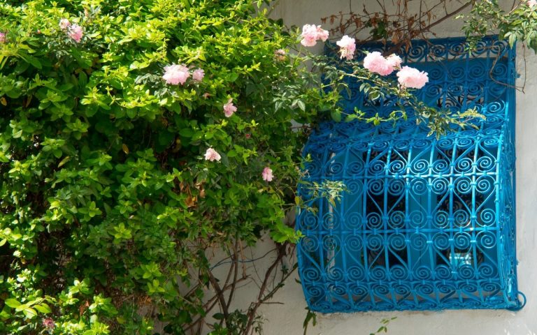 LesExpats-web-Tunis-Short-Term-Rental (7)