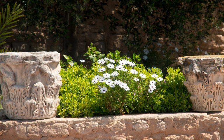 LesExpats-web-jardinier-pisciniste (3)