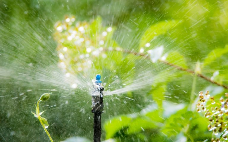 LesExpats-web-jardinier-pisciniste (7)